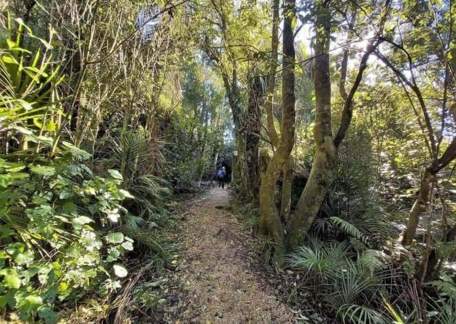 The Best Social Distancing Vacations For You