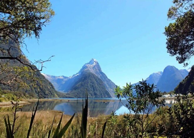 A Long-Awaited Milford Sound Trip