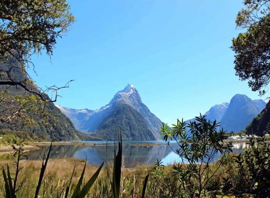 A Long-Awaited Milford Sound Trip