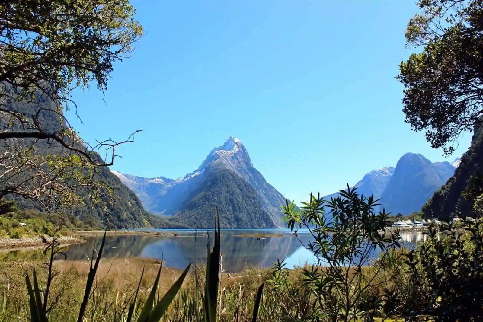 A Long-Awaited Milford Sound Trip