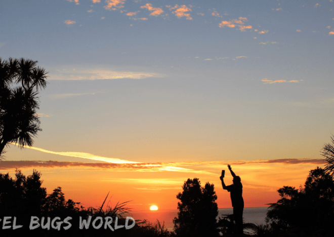 Year in Review: Virtual Travel