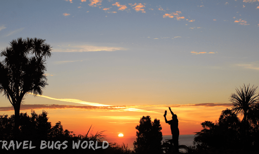 Year in Review: Virtual Travel