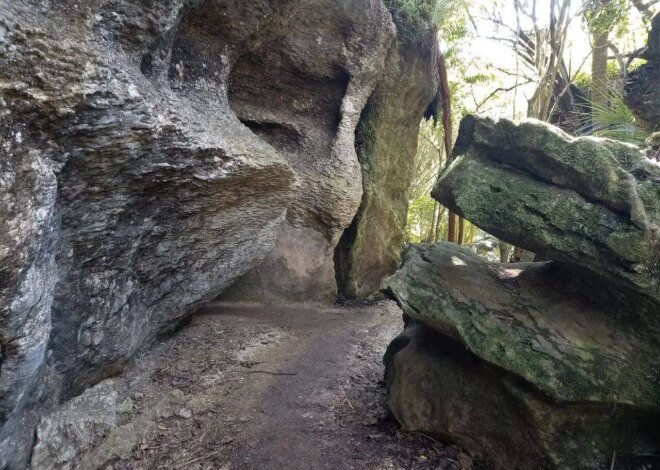 The Grove Scenic Reserve – a Golden Bay hidden gem