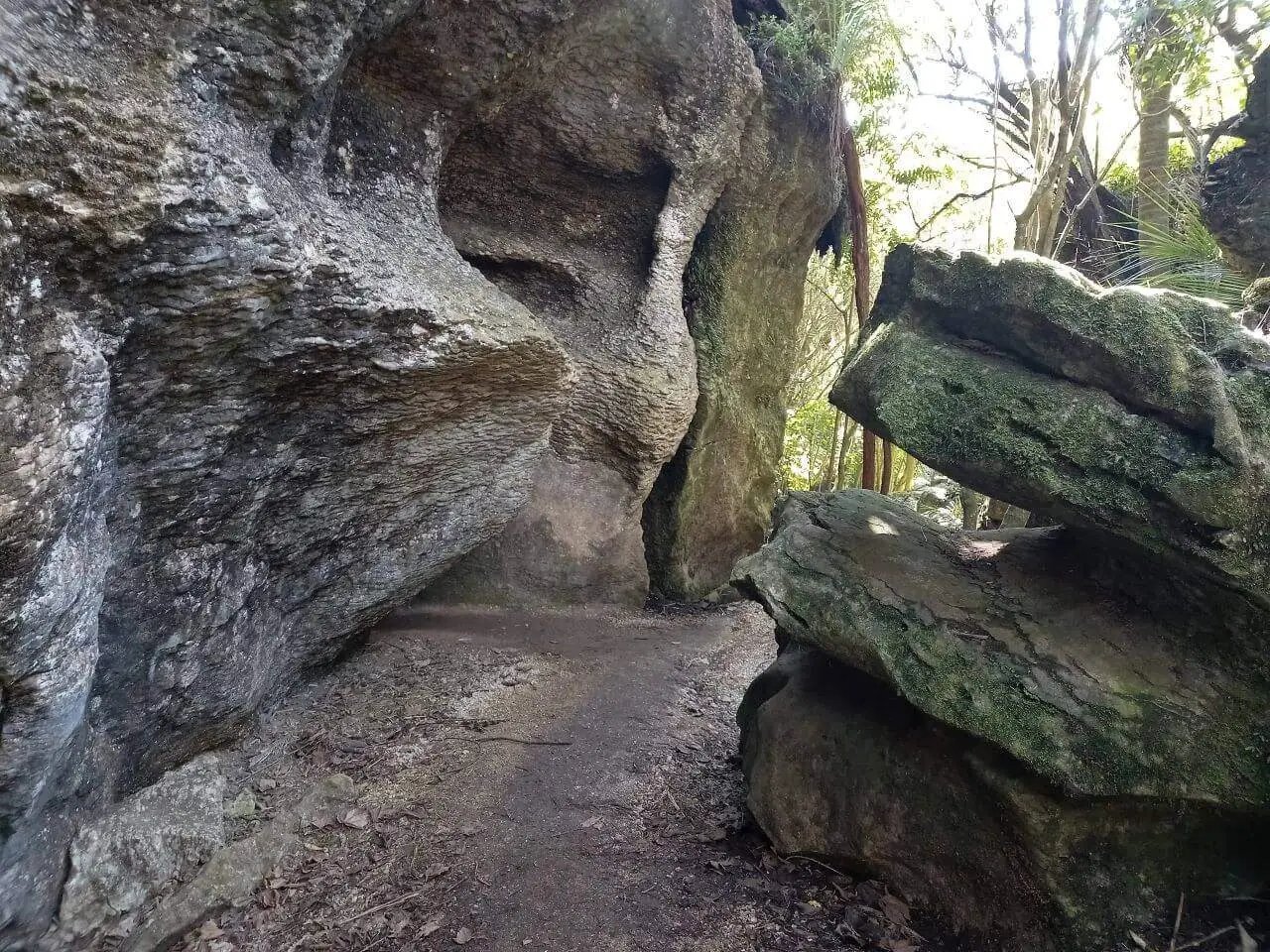 The Grove Scenic Reserve – a Golden Bay hidden gem