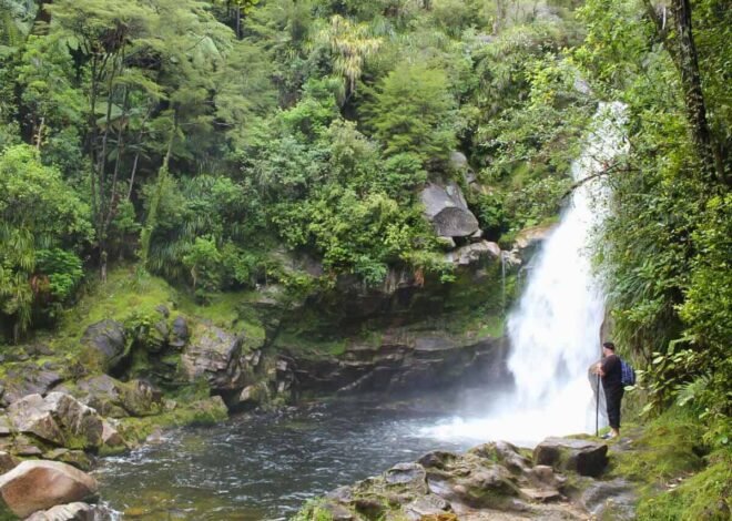 Travellers Love the Short Walk to Wainui Falls in Golden Bay, New Zealand