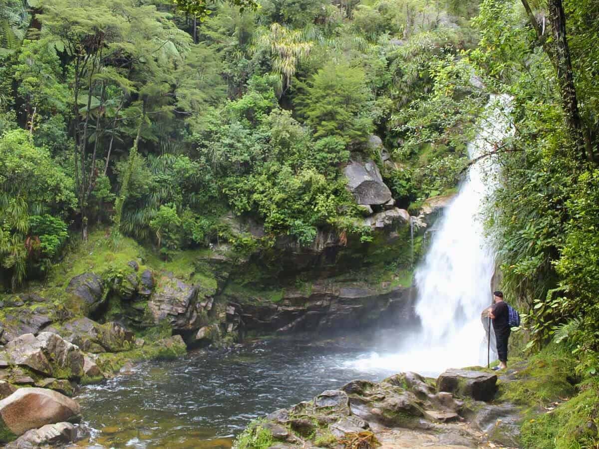 Travellers Love the Short Walk to Wainui Falls in Golden Bay, New Zealand