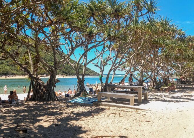 Sydney to Gold Coast Drive