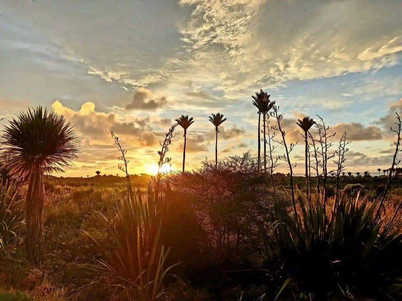 Travel More, Buy Less. Why Spend Less Money on Things & More on Travel 